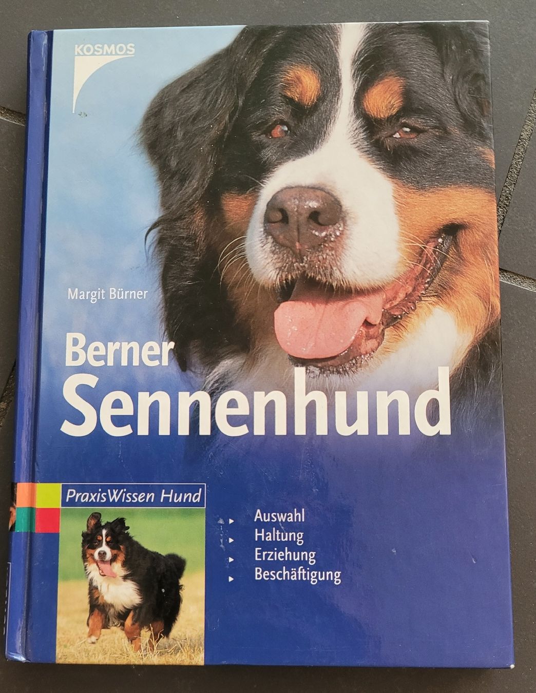 Libri: Buch Berner Sennenhund  – Usato da Kappel SO venduto da Matschi86