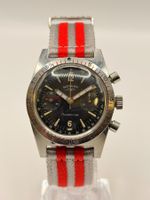 Rotary Aquaplunge