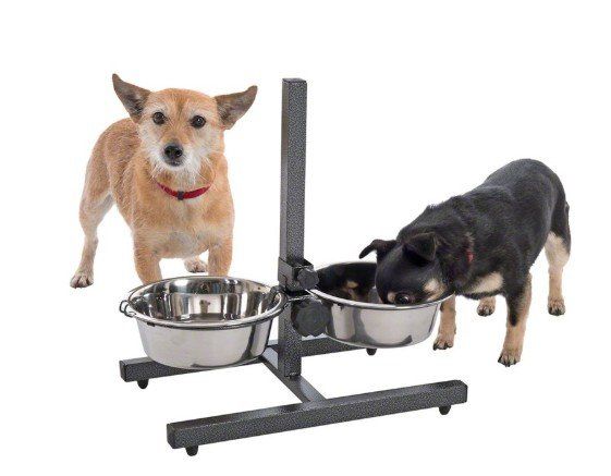 Mangimi: Hunde Napfständer höhenverstellbar NEU – Nuovo e nell'imballaggio originale da Oftringen venduto da Offers 1
