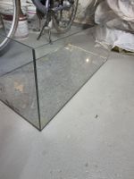 Terrarium 