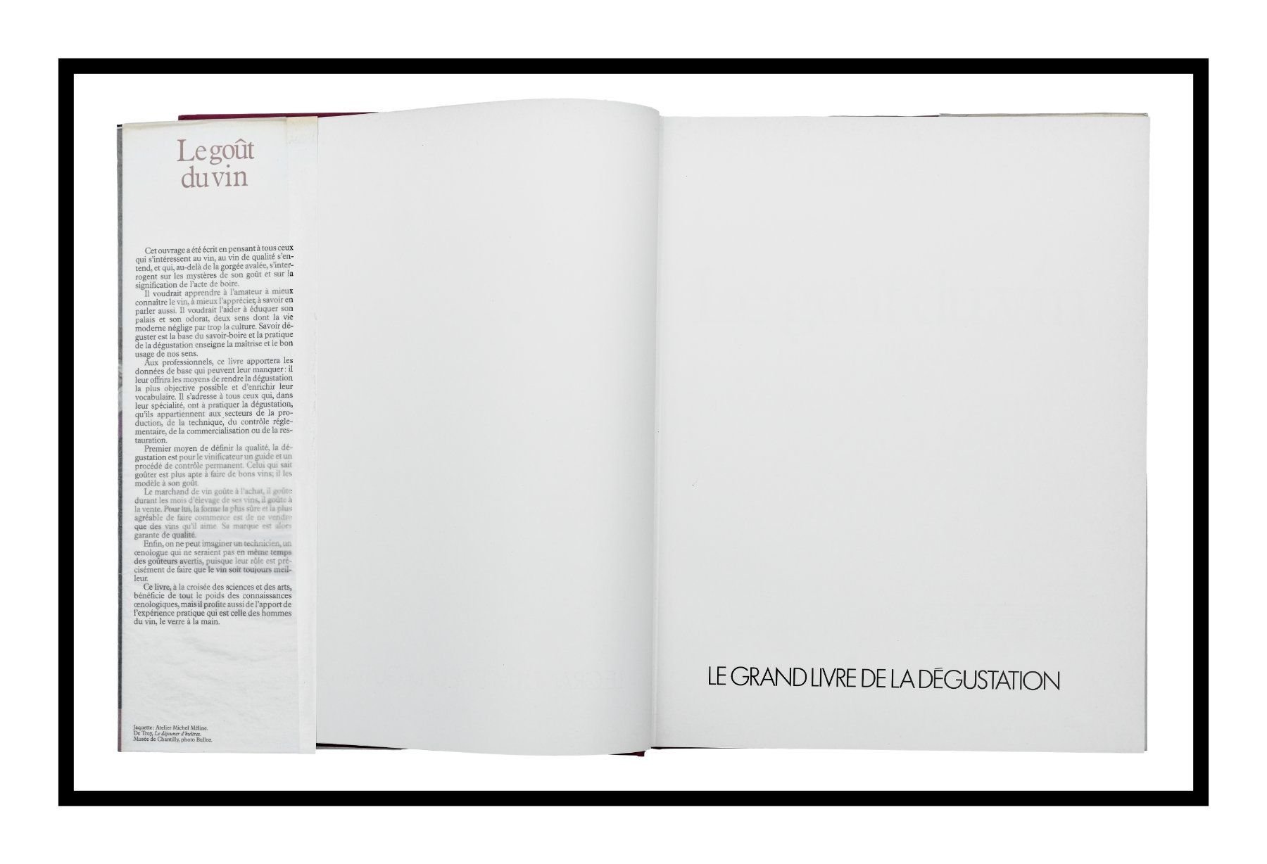 Libri: ÉMILE PEYNAUD "Le Goût du vin" 1re édition 1980 – Usato da Onex venduto da gonsla 4