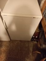 Tiefkühlschrank Sibir