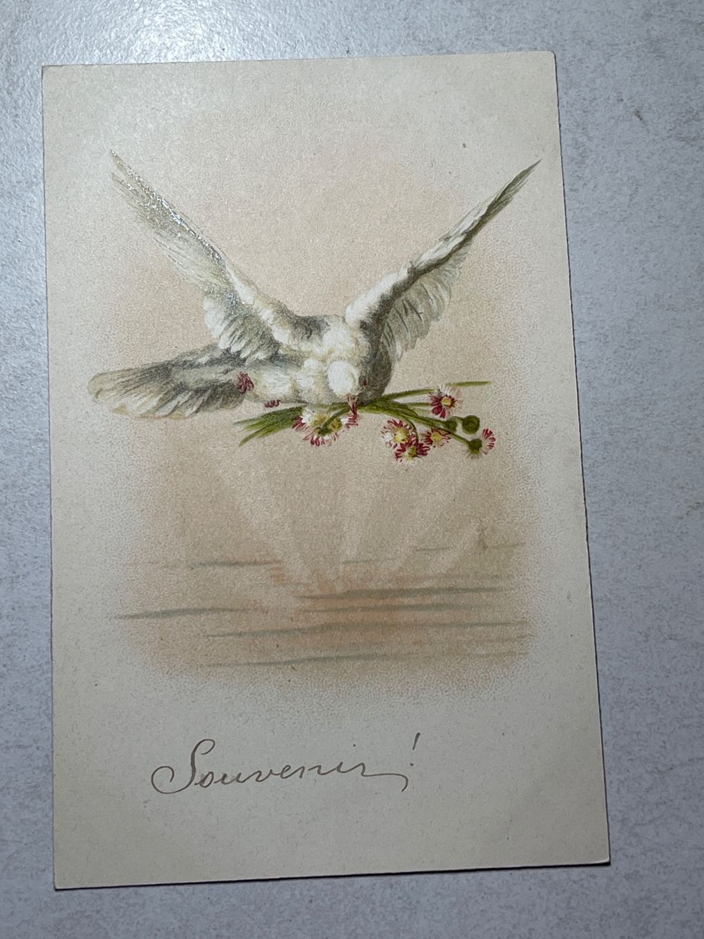 Cartoline postali: Alte Ansichtskarte mit Vögeln, – Usato da Strengelbach venduto da Aschatan5