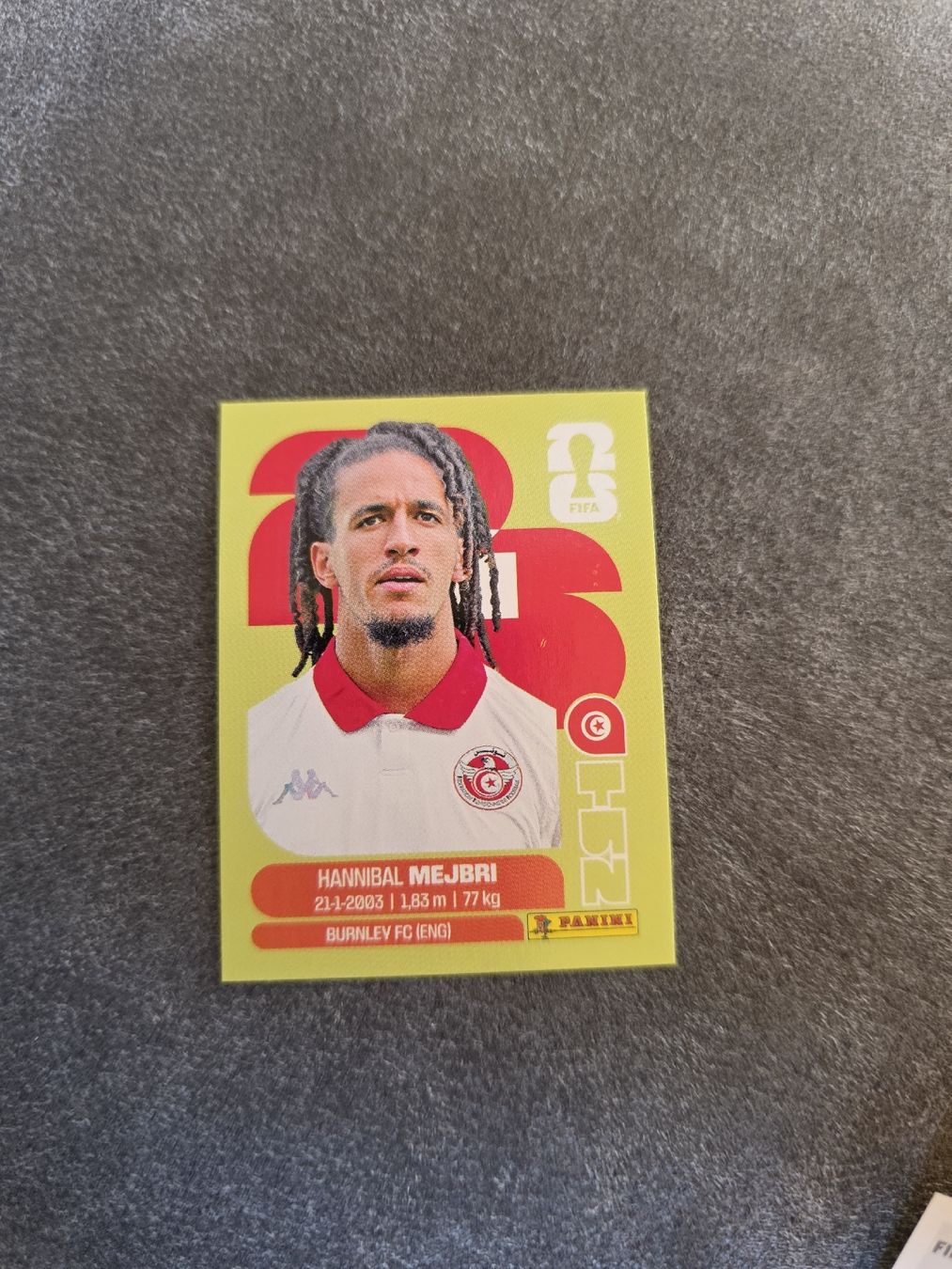 Panini Carte collezionabili: Panini WM 2026 TUN 14 – Nuovo (secondo la descrizione) da Romanshorn venduto da leeh78