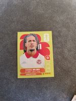 Panini WM 2026 TUN 14