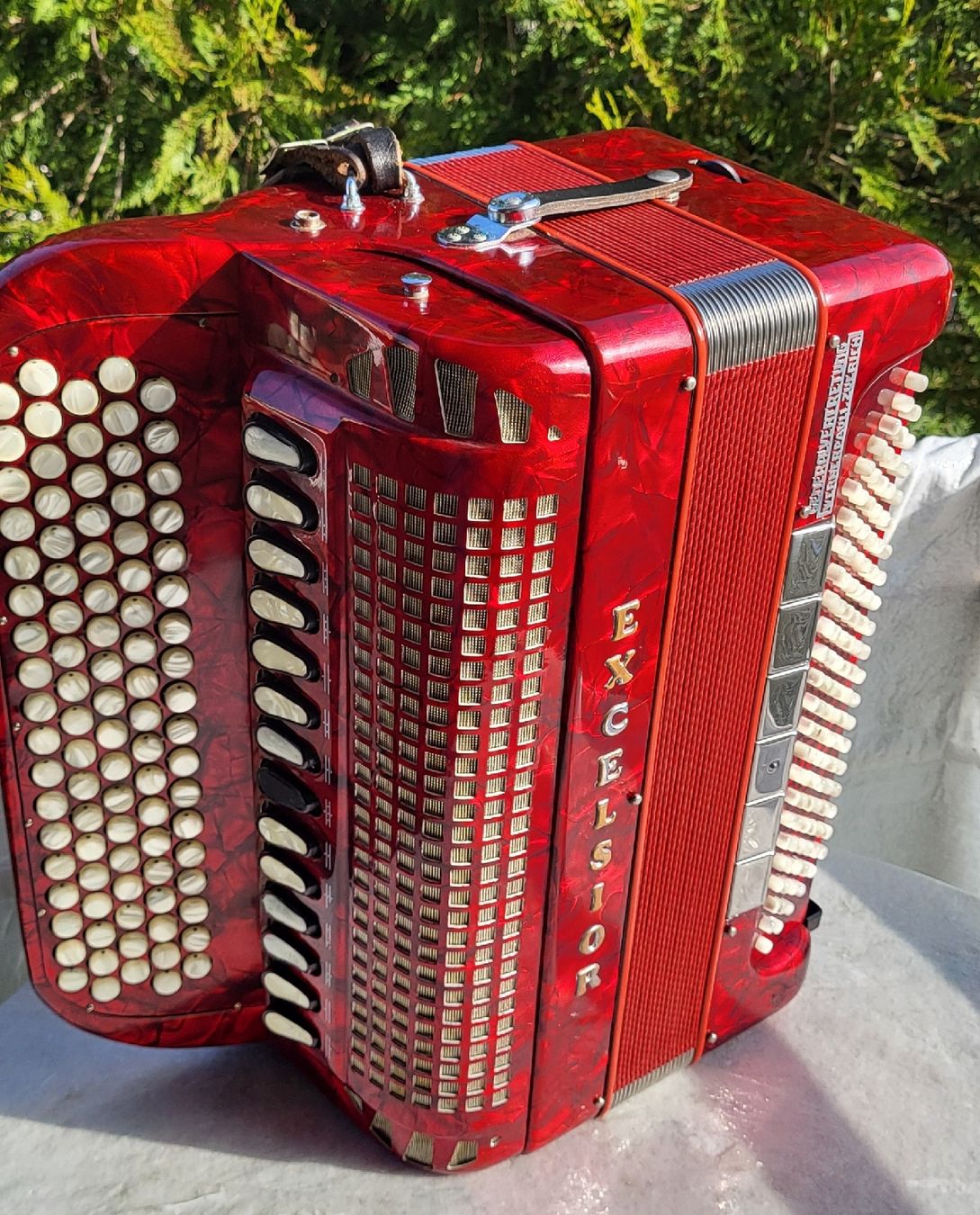 Strumenti musicali: Accordéon Excelsior – Usato da Penthalaz venduto da EvandroLuz 1