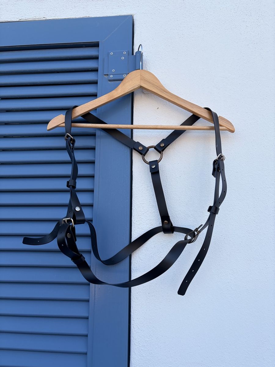Attrezzatura da arrampicata: Handgefertigter Lederharness ✨ – Nuovo (secondo la descrizione) da Tennwil venduto da Deathstar94