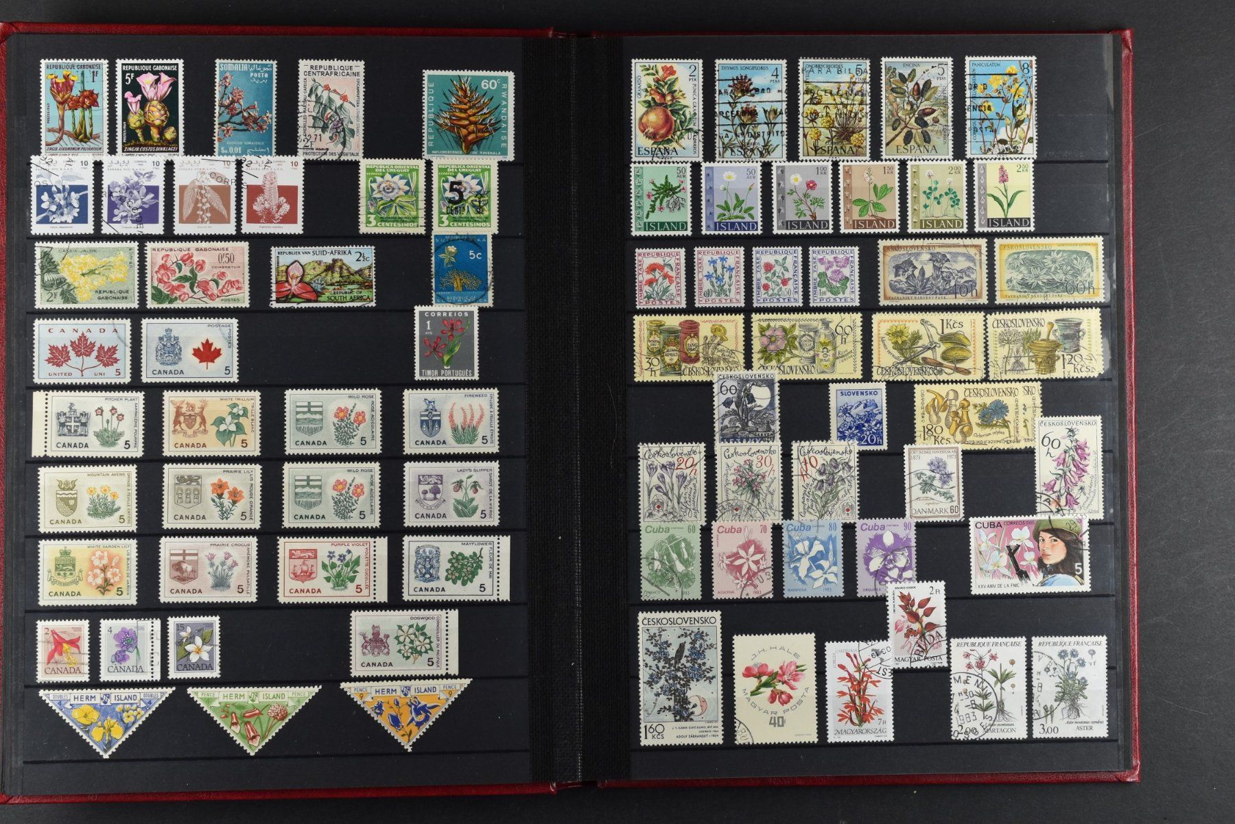 Tutti i francobolli: SAMMLUNG, BLUMEN, 2 EINSTECK-ALBEN, 900+ MARKEN – Usato da Wetzikon ZH venduto da Philimpex 4