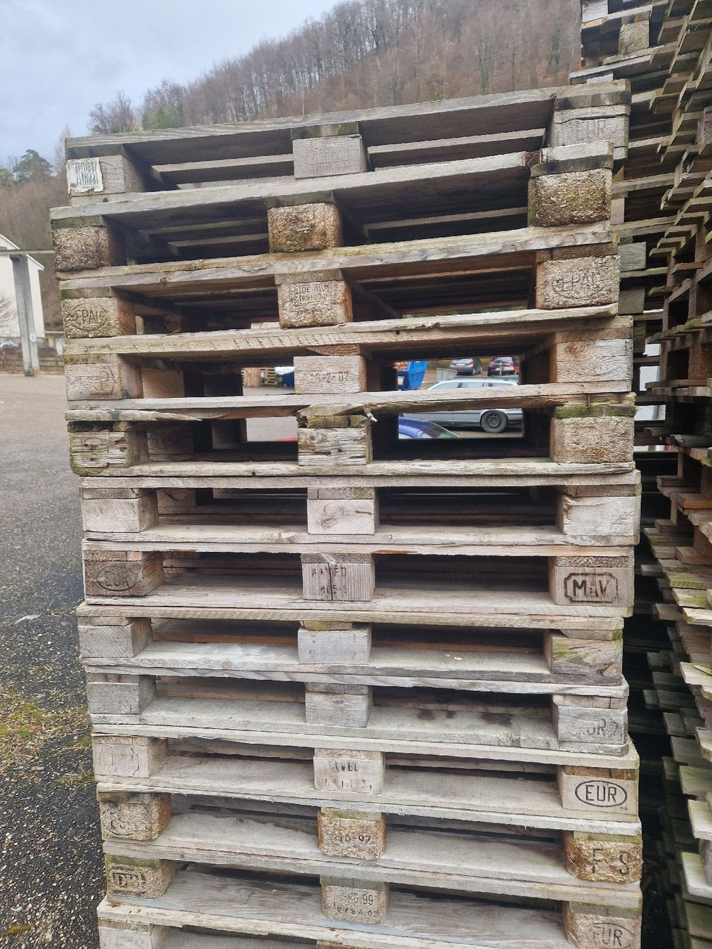 Pallets: Gebrauchte Euro- und Einweg-Palette. – Usato da Muttenz venduto da Nnaa