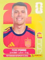 Panini FIFA World Cup ESP 6