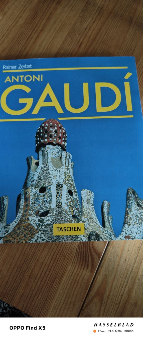 Libri: Gaudi – Usato da Volken venduto da katz5