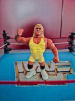WWF Hasbro Mr Perfect Serie 3 Vintage Figure