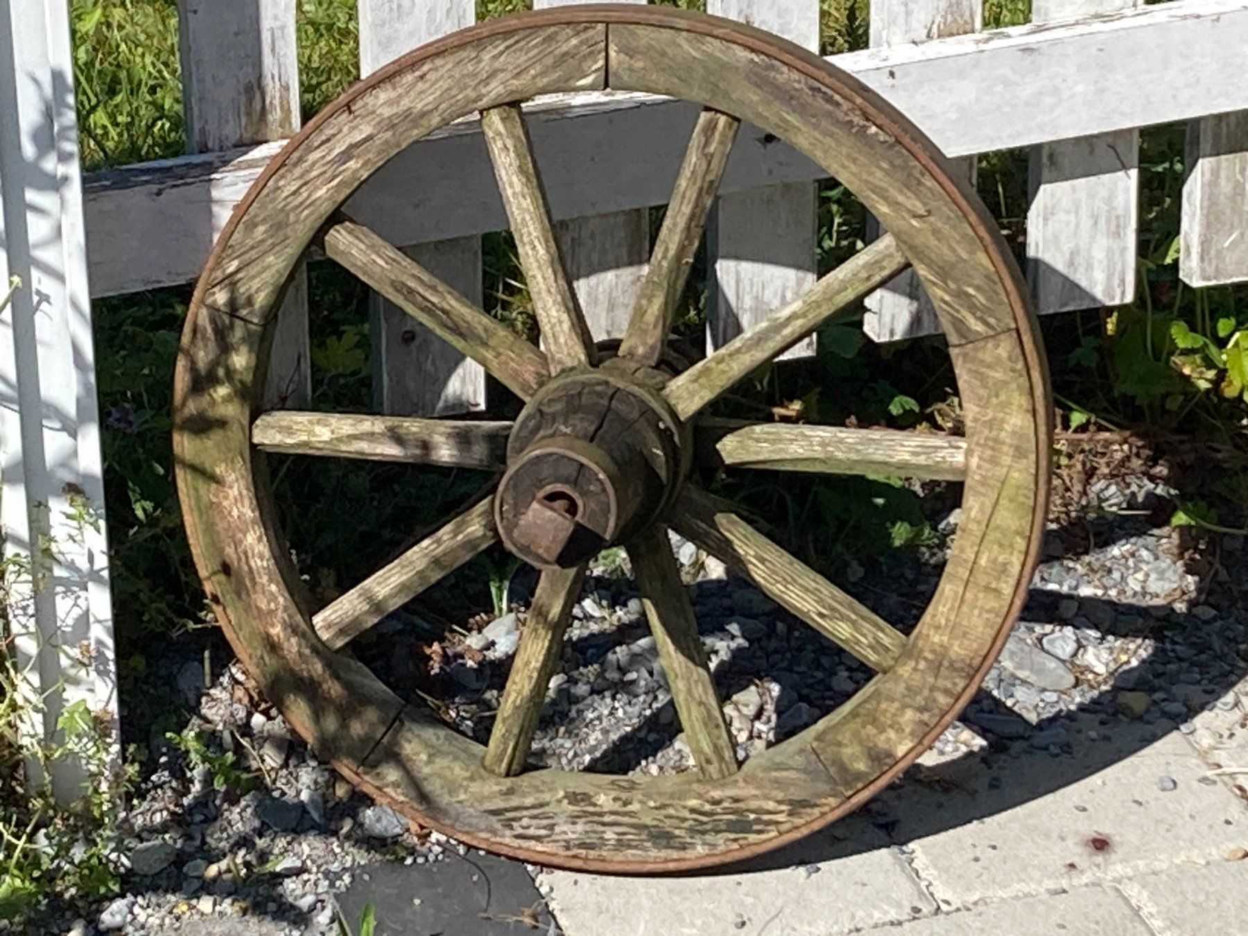 Pneumatici & Ruote complete: Speichenrad aus Holz – Usato da Linthal venduto da fiatsedici 4