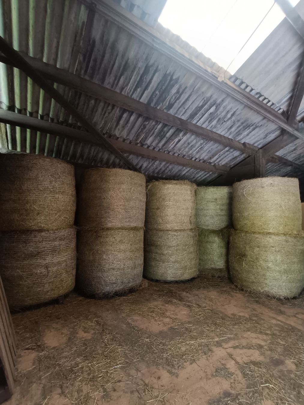 Futter: Ökoheuballen – Neu und originalverpackt aus Adlikon von hug_p6f6
