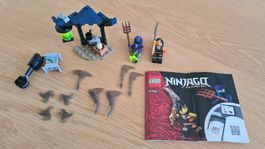 LEGO Ninjago Legacy 71733
