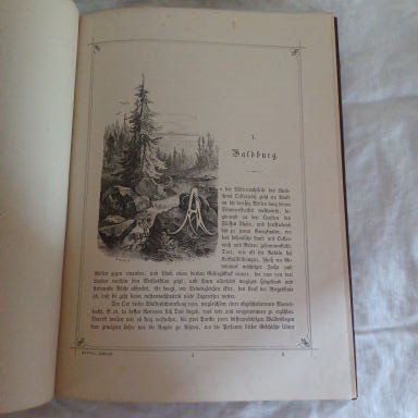 Livres: Buch derHochwald Leibzig1882 – D'occasion à Abtwil SG par luupsy 2