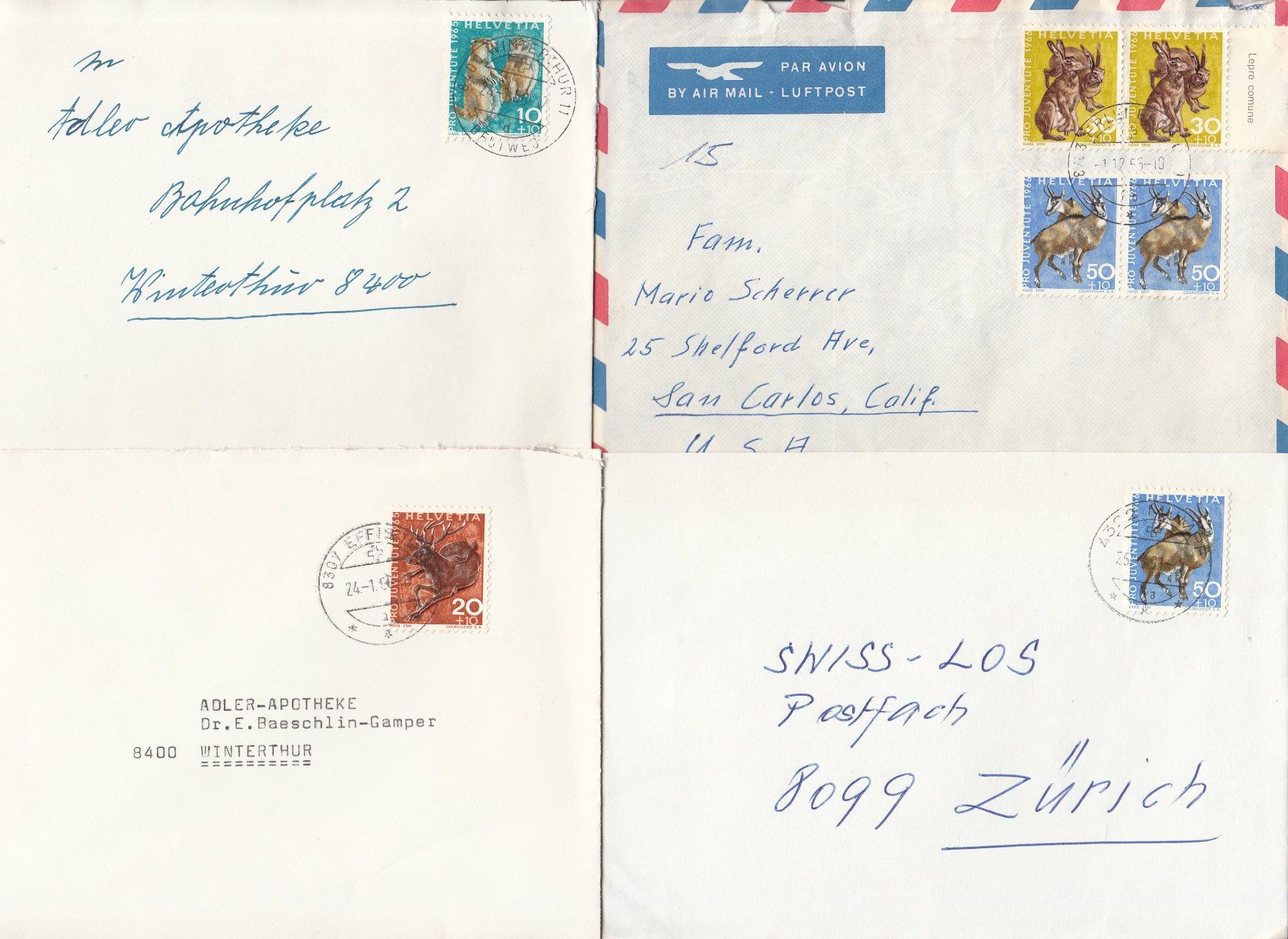 Alle Briefmarken: Pro Juventute 34 Bedarfsbriefe 1960 - 1969 – Gebraucht aus Bürglen TG von StampGraf 5