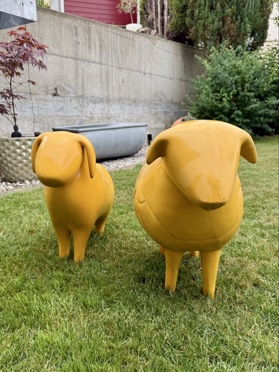 Tutte le decorazioni: Deko-Schafe gelb 2er-Set Garten-Dekoration – Usato da St.Gallen venduto da Bachweid