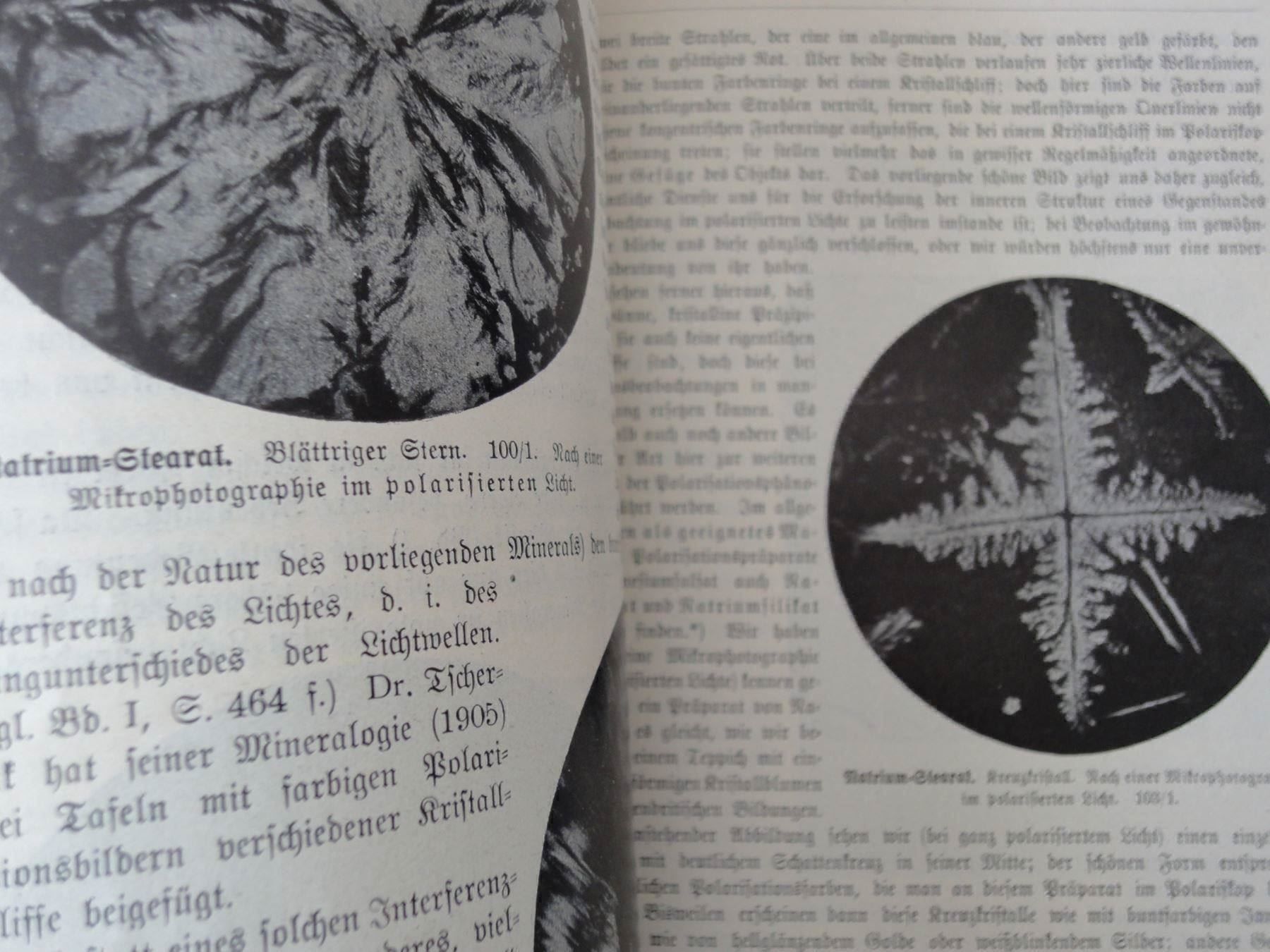 Libri: Das Buch der Natur Band 2 ca. 1920 – Usato da Chur venduto da omonia 6