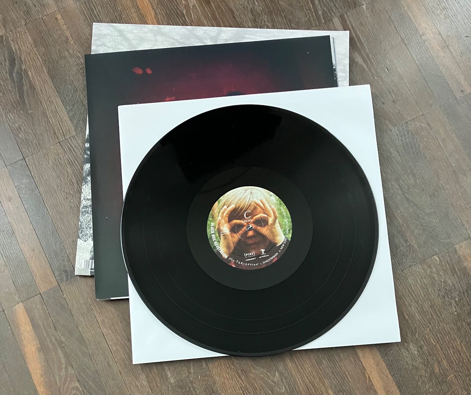 Dischi in vinile: THE BLACK BOX REVELATION - MY PERCEPTION – Usato da steffisburg venduto da Dstauffer 7