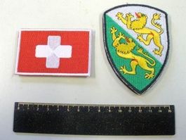 Insignes TG + CH