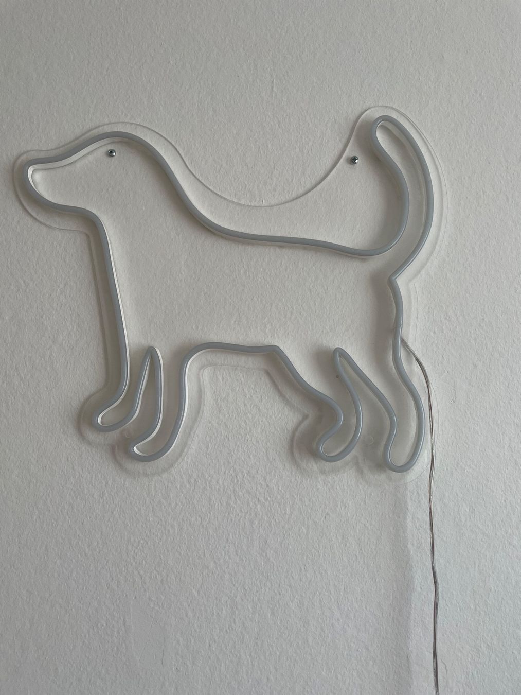 Lampade: LED neon Hund – Usato da Wädenswil venduto da Mazso