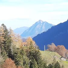 Profile image of Bwyka
