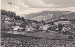 AK Bowil BE (nach Basel BS) 1929
