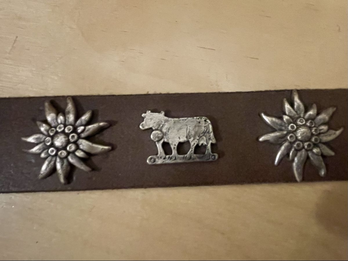 Cinture: Appenzeller Chüeli-Gürtel , Leder, braun – Usato da Uster venduto da jelk