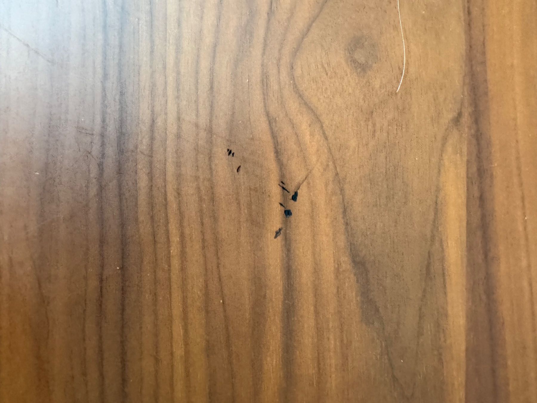 Cassettiere: Sideboard Holz dunkel mit Schubladen gebraucht – Usato da Hombrechtikon venduto da Sonne127 4