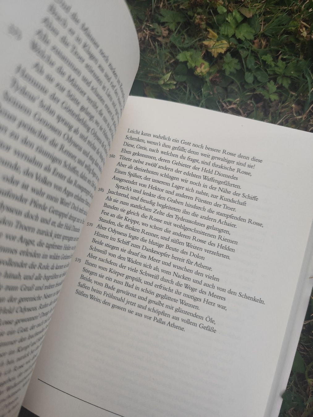 Bücher: Homer Odyssee Ilias – Gebraucht aus Mägenwil von VintageGirly 4