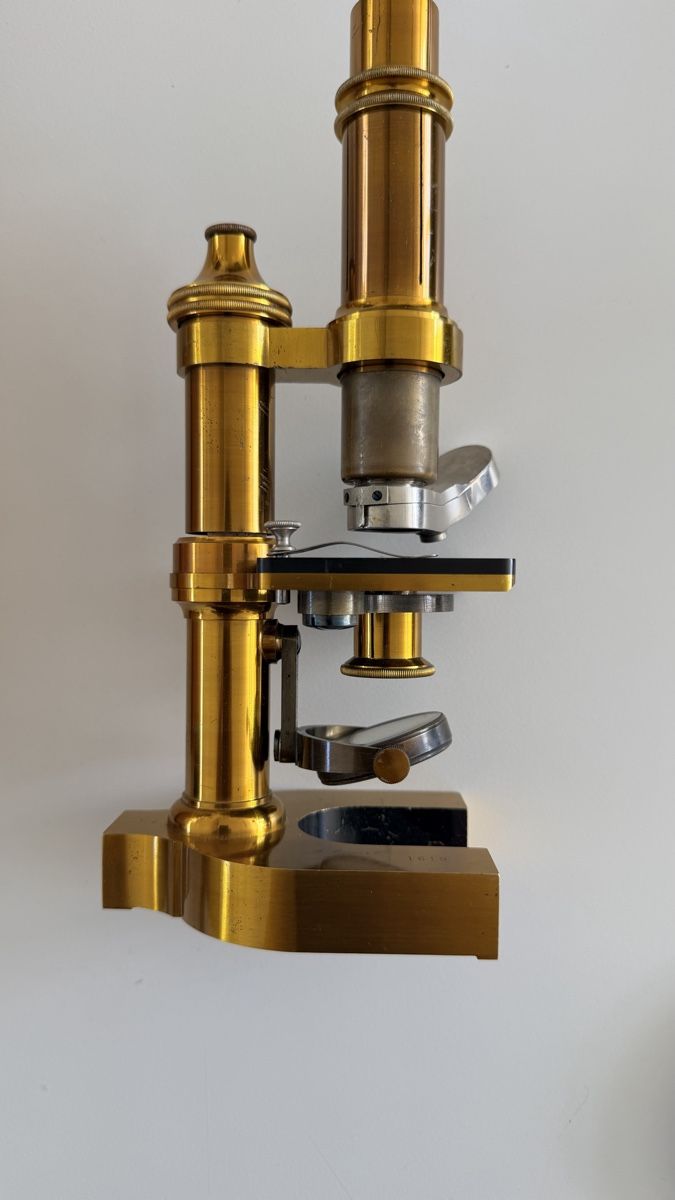 Microscopi: MICROSCOPE MARQUÉ A. MEYER & CO, ENGE-ZÜRICH – Usato da Biel/Bienne venduto da pvintage 1