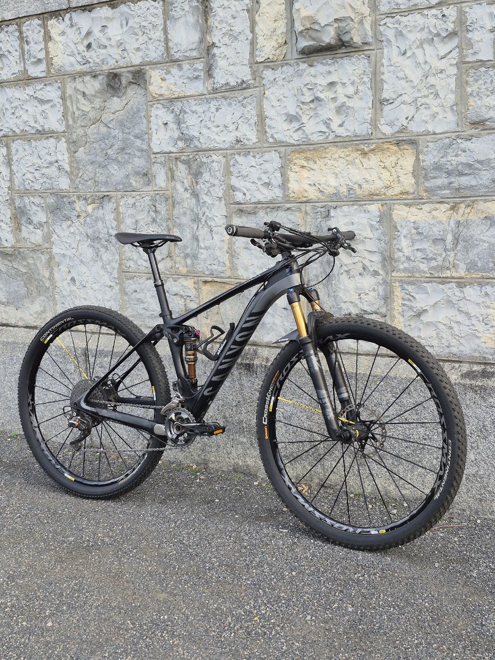 Canyon Vélos: Canyon Lux CF 29 – Neuf (Voir description) à Reinach AG par zot_tpy9