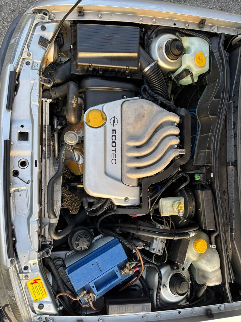 Opel Automobili: Opel Astra F – Usato da Sulz AG venduto da Calesamo 3