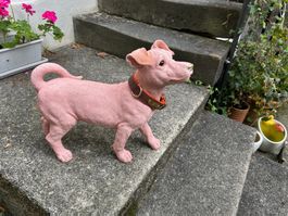H U N D rosa Nackthund