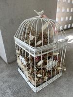 Vogelkaefig Deko mit Trockenblumen