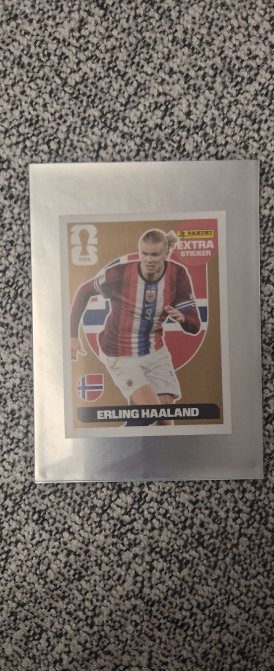 Panini Carte collezionabili: Extra Sticker Panini Top Zustand – Nuovo (secondo la descrizione) da Wetzikon ZH venduto da ifo02 1