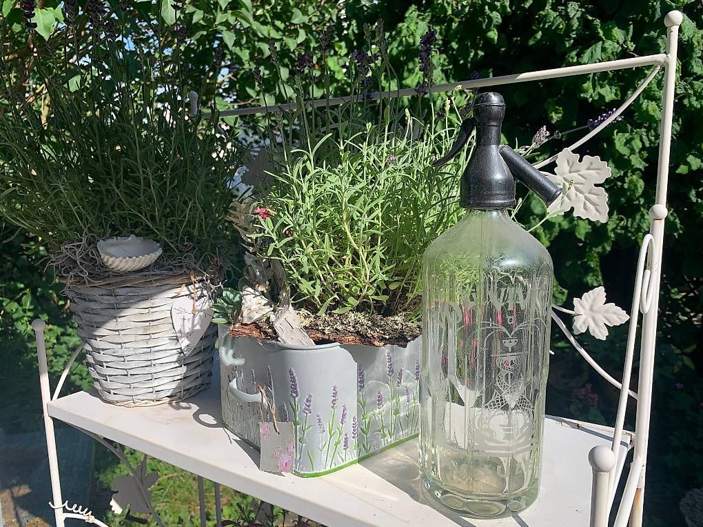 Tutte le decorazioni: Sodaflasche / Siphonflasche / Syphonflasche – Usato da Münchenstein venduto da Beni1994 3