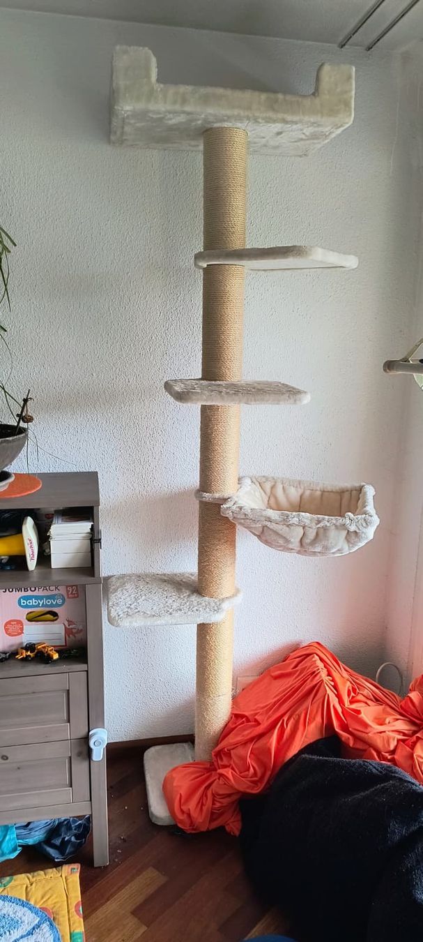 Arbres à chats: Katzenbaum Alexis 224cm gebraucht – D'occasion à Zürich par Averandomage