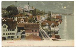 Wädenswil am Zürichsee (ZH) Dorfpartie - Bahnlinie - 1908