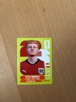Panini Sticker
