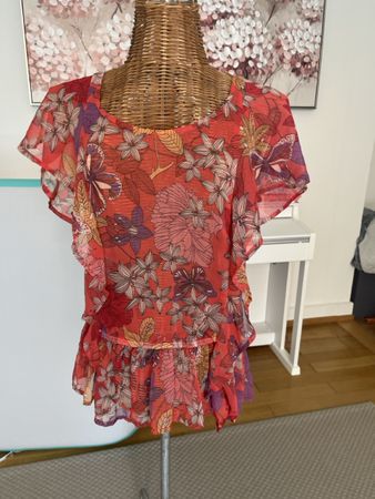 Blumentop, Garcia,  S