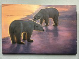 Stimmungsvolles Eisbären-Bild (40x60 cm) – dekorativer Druck