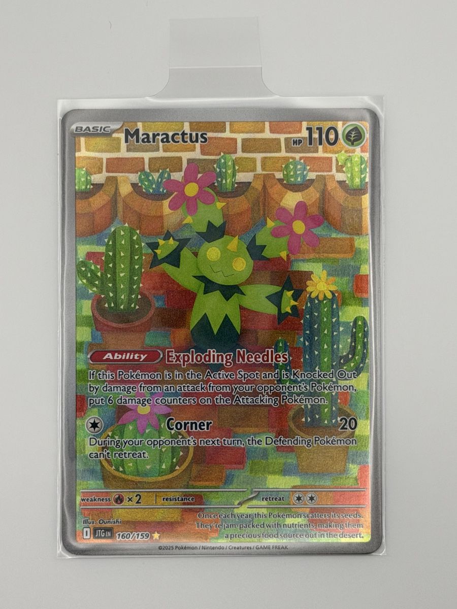Pokémon Carte collezionabili: Pokémon Maractus 160/159 – Nuovo (secondo la descrizione) da Uster venduto da CDM96