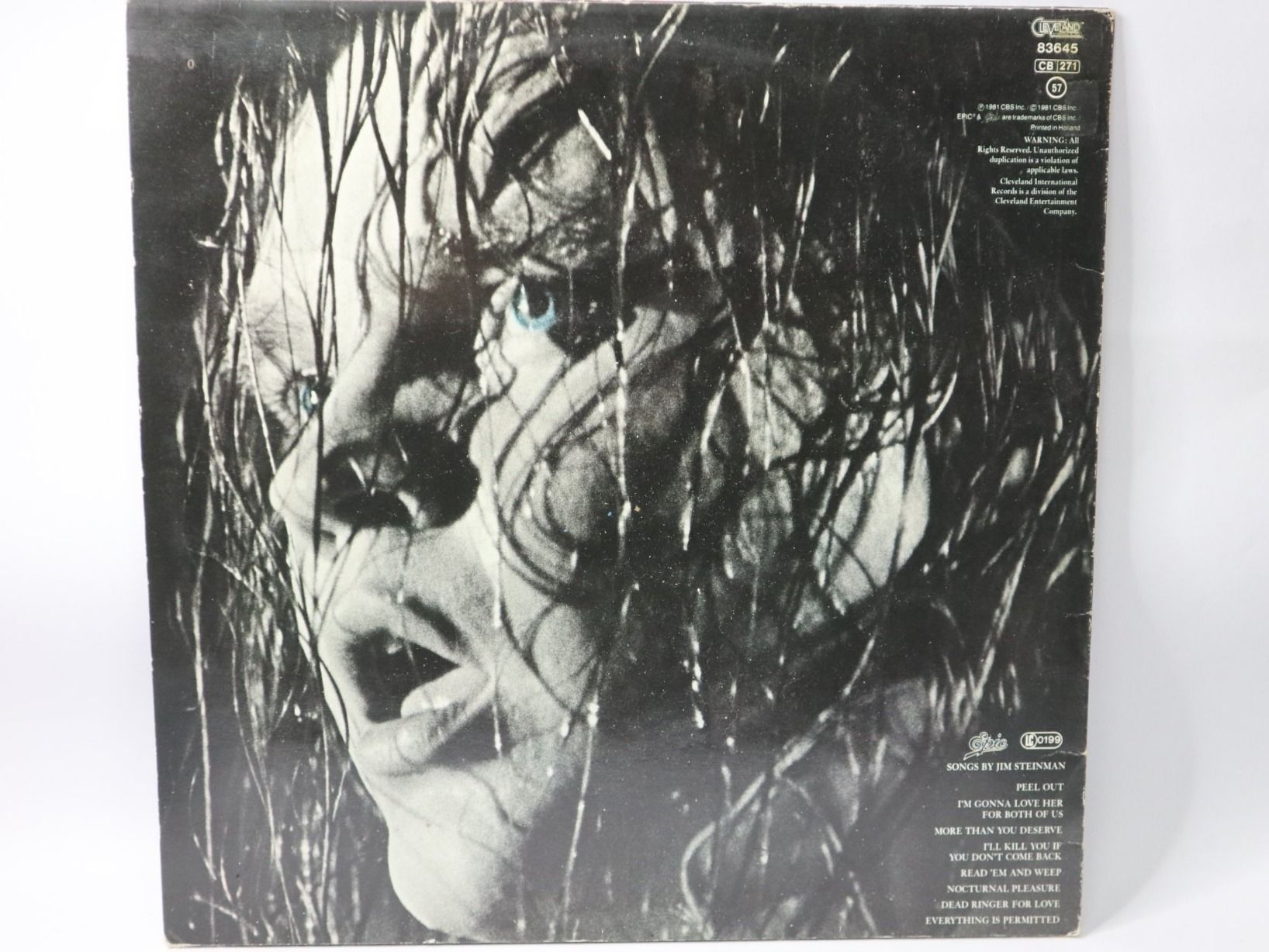 Schallplatten: Vinyl LP Meat Loaf - Dead Ringer Schallplatte – Gebraucht aus Eschenbach SG von Astalavista 1