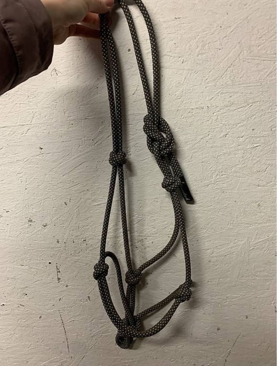 Felix Bühler Briglie & Cavezze: Knotenhalfter Gr. Cob – Usato da Fruthwilen venduto da m.beer