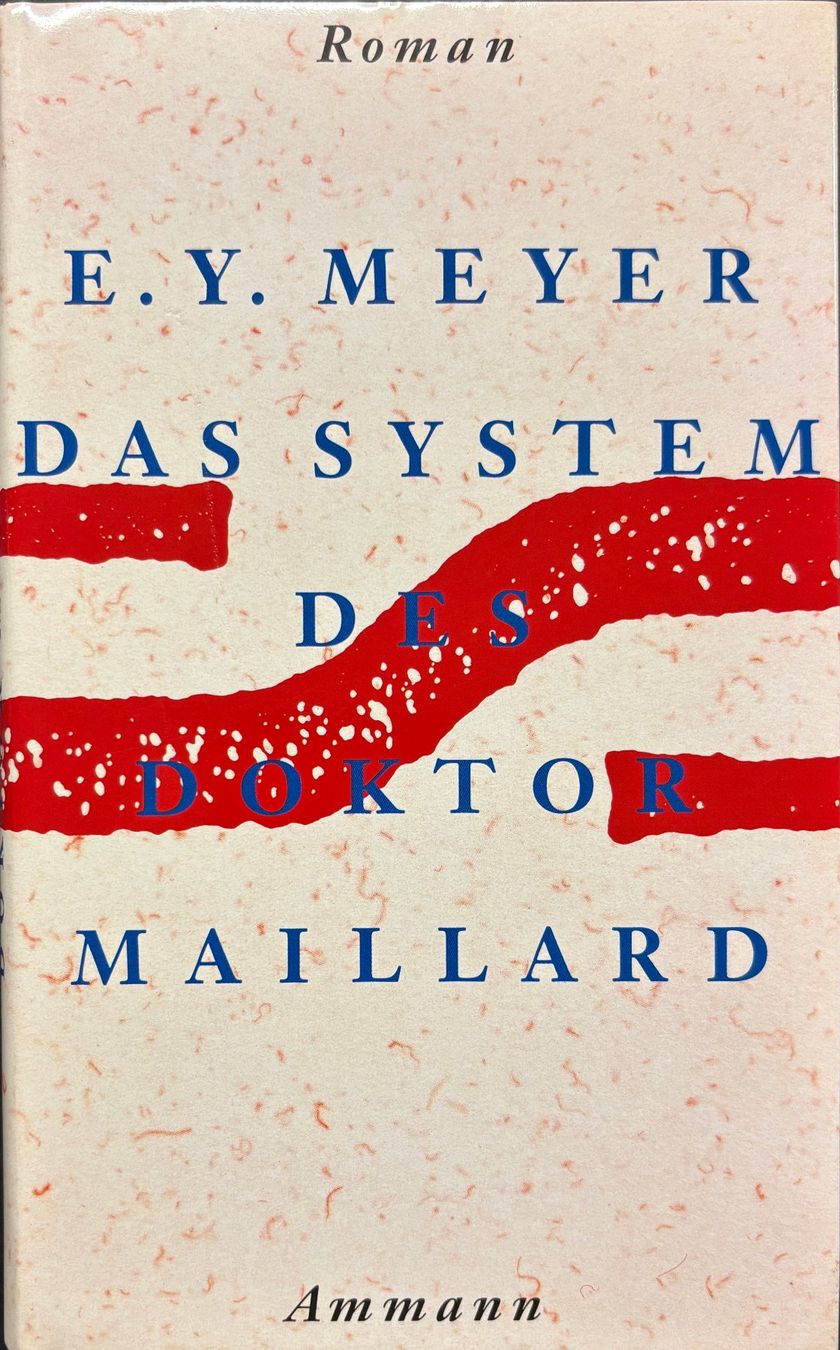 Bücher: Meyer E. Y., Das System des Doktor Maillard – Gebraucht aus Sarnen von Livres