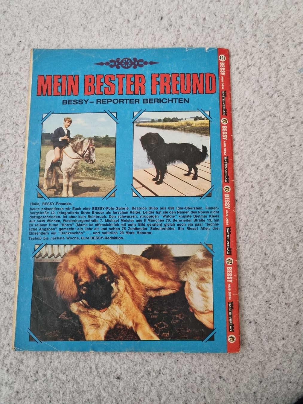Comics: Bessy Heft Nr. 421 – Gebraucht aus Oberentfelden von Giants 1