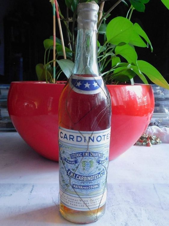 Rar Cognac Cardinotes 1950s (Neu (gemäss Beschreibung)) in Emmenbrücke ...
