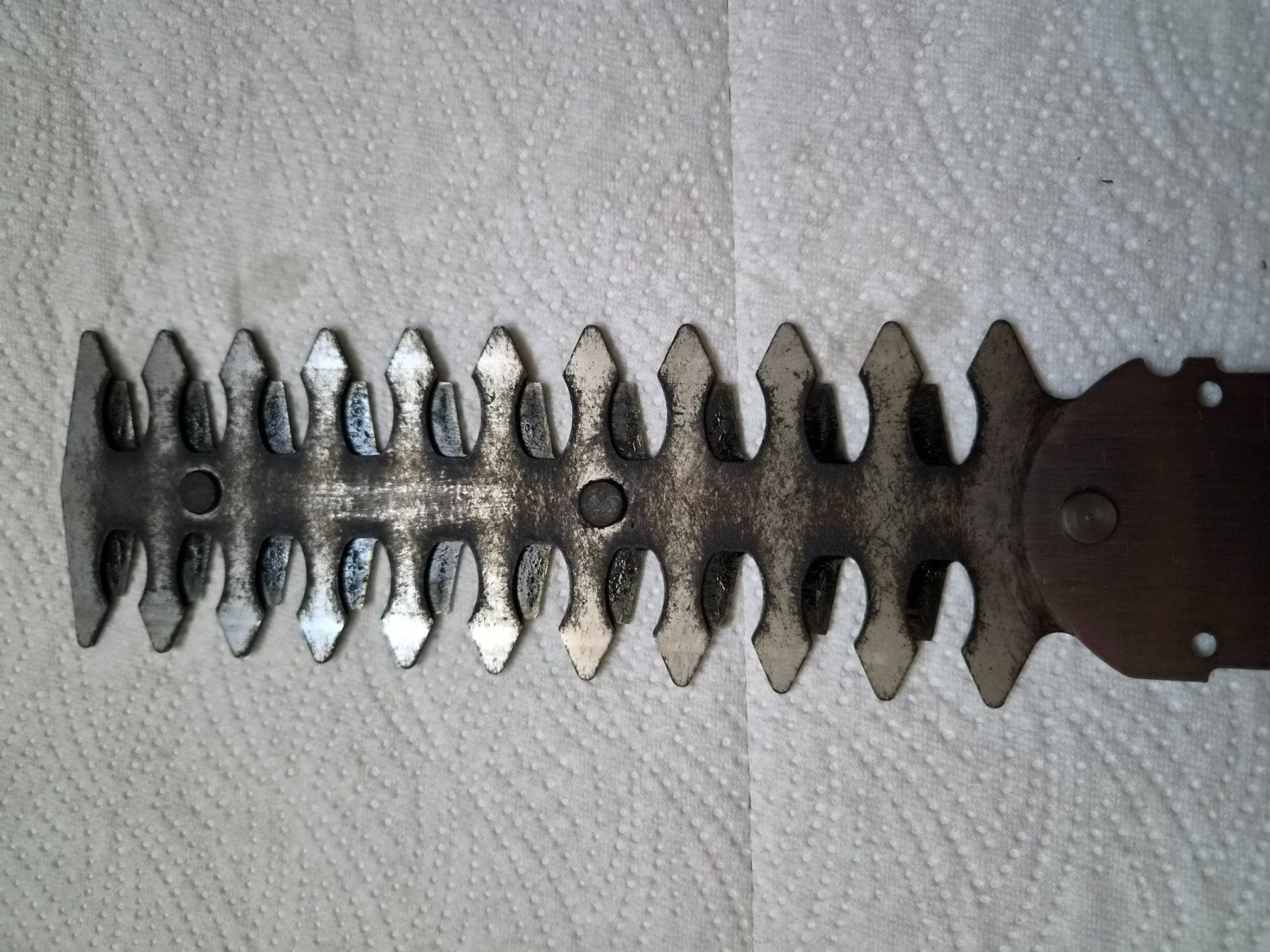 Bosch Tutti gli attrezzi: BOSCH ASB 10,8 LI Set Akku-Strauchschere, Grasschere – Usato da Eschenbach SG venduto da floeckli444 8